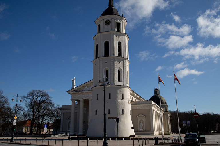 Vilnius: Excursão de meio dia em minivan particular