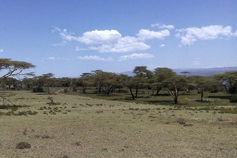 Nairobi: Crescent Island Walking Safari and Lake Naivasha Shared: Crescent Island and Lake Naivasha without Entry Fee