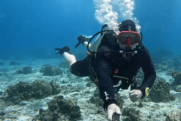Moalboal : Scuba Diving Sardine Run and Turtle Chasing Scuba Diving: Sardine Run, Turtle Chasing &Pescador Island