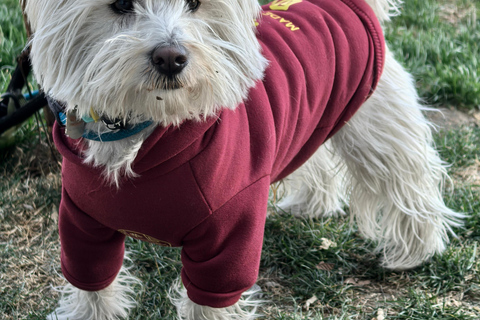 جولة دراجات/جولة في مدينة شنغهاي في نيو بوند وتجربة الحياة المحلية