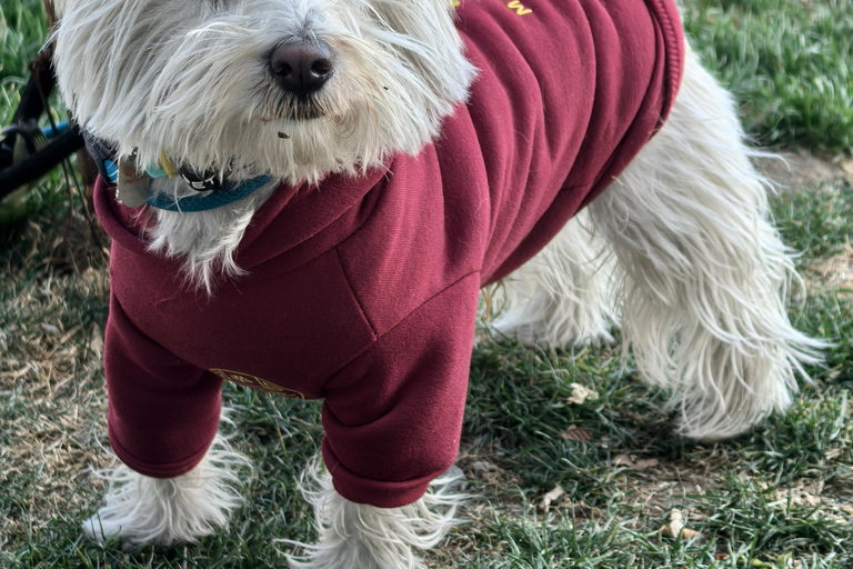 جولة دراجات/جولة في مدينة شنغهاي في نيو بوند وتجربة الحياة المحلية
