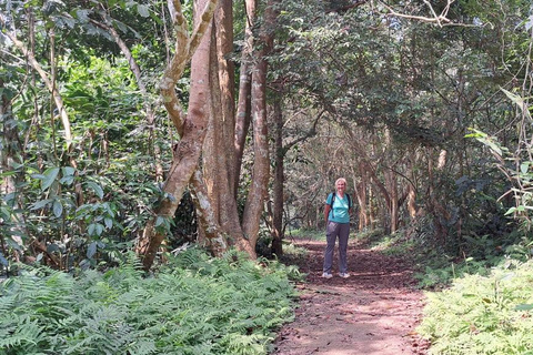 Cuc Phuong National Park - Van Long Day Trip From Hanoi