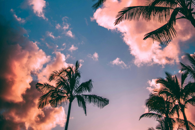 De Colombo: Excursão de 10 dias ao Sri Lanka com guia e hotel