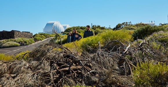 Tenerife: Mount Teide Observatory Guided Tour