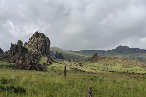 内罗毕：3日阿伯达雷国家公园经济型Safari内罗毕：3天阿伯达雷国家公园经济型Safari之旅