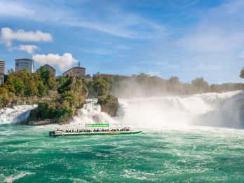 Neuhausen am Rheinfall: Rhine Falls Boat Tour