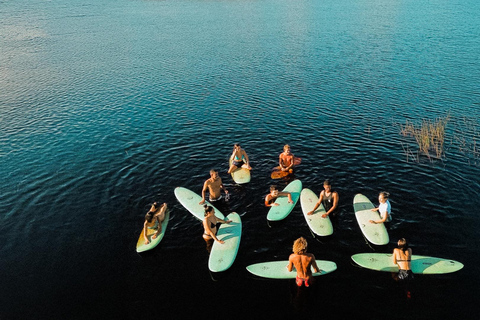 Bahia Surf Camp Day Pass with Surf Lesson & Meal included