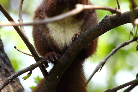 Warsaw: Exclusive city tour with photo session