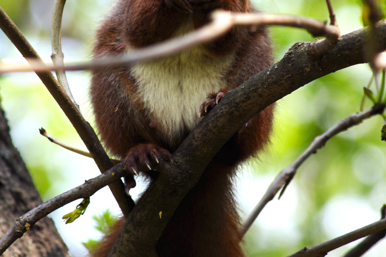 Warsaw: Exclusive city tour with photo session