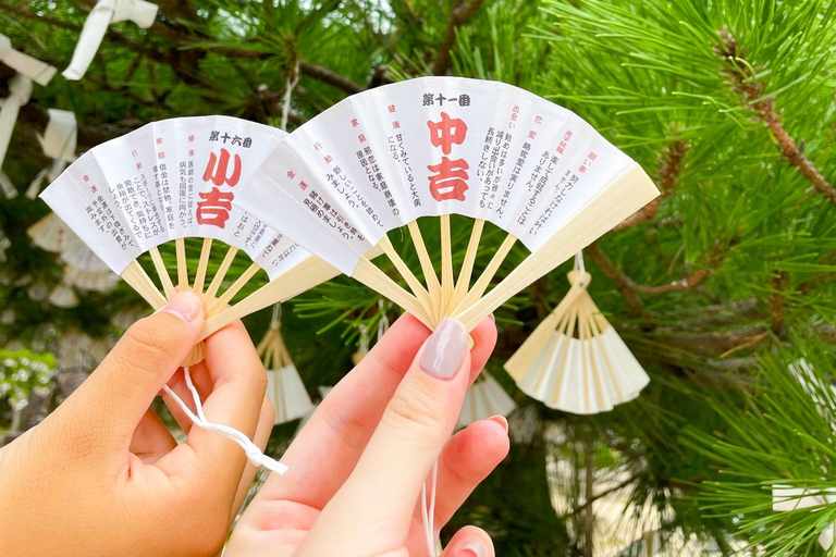 Osaka : Kyoto en bord de mer avec Amanohashidate et Ine no FunayaExcursion en groupe à Kyoto By The Sea, rendez-vous à Tsurutontan Soemoncho