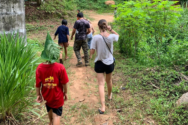 1 Day trekking : Chiang Rai popular activity,Fun in Nature.