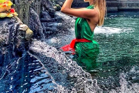 Ubud: Private Half-Day Tour Rice Terrace, Temple & Waterfall Private Half-Day Tour (With Entrance Tickets)