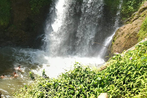 Tour della fattoria del tè viola da Nairobi - Esplora i verdi di GaturaTour della fattoria del tè viola da Nairobi - Esplora Gatura Greens
