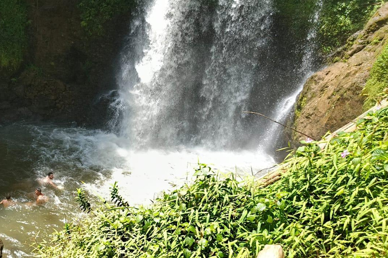 Tour della fattoria del tè viola da Nairobi - Esplora i verdi di GaturaTour della fattoria del tè viola da Nairobi - Esplora Gatura Greens