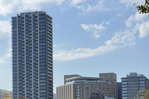 Guida privata parlante francese a TOKYO