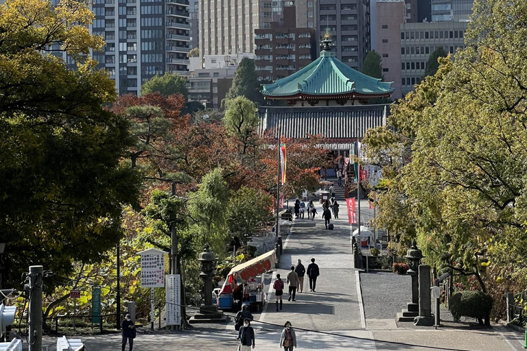 Guía privado de habla francesa en TOKIO