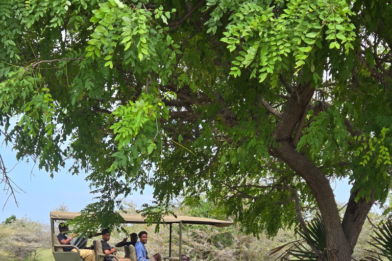 Sansibar: 2-tägige Selous-Nationalpark-Safari mit Flügen