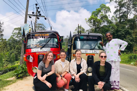 Kandy: Private Vehicle & Driver - Your Custom Route