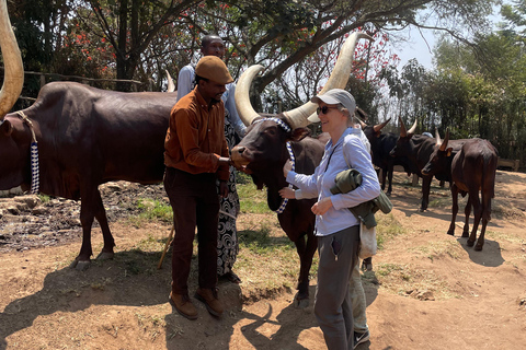 Kigali: Tour cultural por el palacio real, el museo y el memorial.Kigali: Visita cultural al palacio real, el museo y el memorial