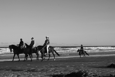 Barbados: Nighttime Full Moon Horseback Riding Tour