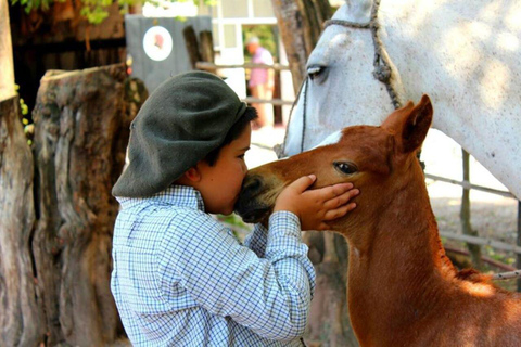 Salta: Full-Day Horseback Ride with Mountain Picnic