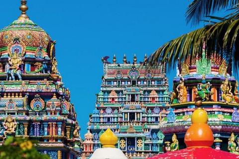 Fidżi: Wycieczka do Nadi z basenem błotnym i gorącymi źródłami