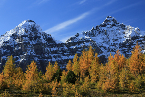Banff Fall Tour: Lakes, Mountains, Falls & Autumn Views