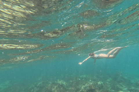 Malindi/Watamu: Safari Blue Tour with Lunch & Snorkeling