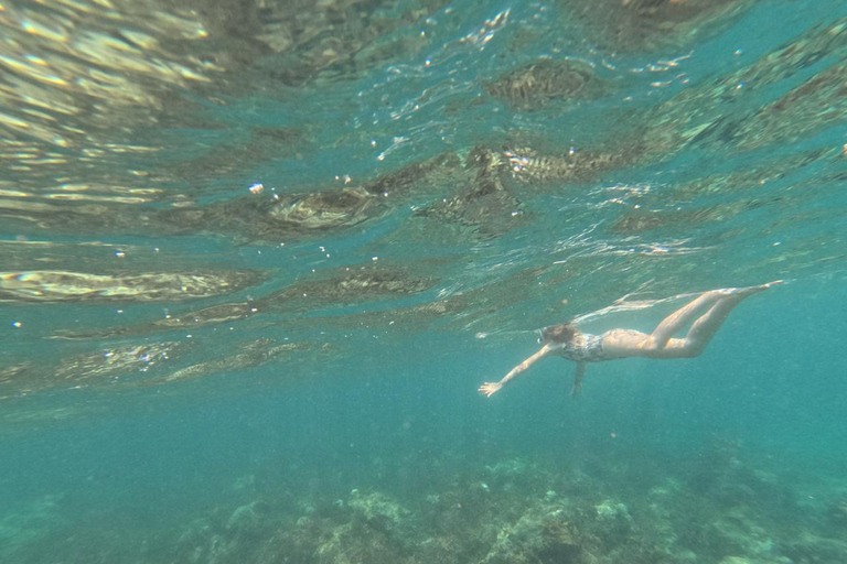 Malindi/Watamu: Safari Blue Tour with Lunch & Snorkeling