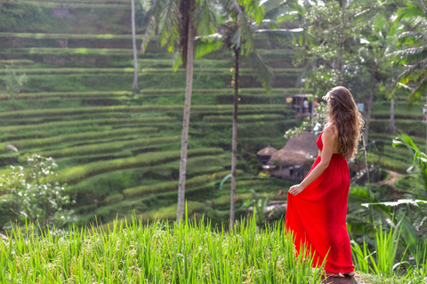 Bali: Nungnung Waterfall, Jatiluwih & Ulun Danu Temple Tour Small-Group Full-Day Tour – Excluding Tickets