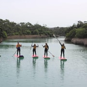 Anglesea: Stand-Up Paddleboard Lesson on the River