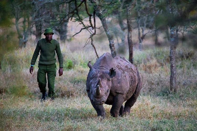 Nairobi: Ol Pejeta Conservancy Day Trip with Game Drives