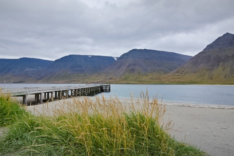 Vanuit Reykjavík: 3-daagse rondreis door de Wild Westfjorden