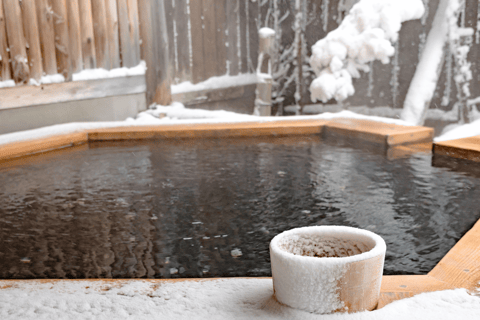 Snow Monkey & Natural Hot Spring Retreat Private Tour! Pick up and Drop off around Nagano