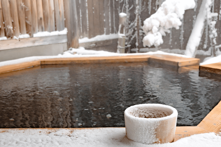 Snow Monkey &amp; Natural Hot Spring Retreat Privat tur!Upphämtning och avlämning runt Nagano