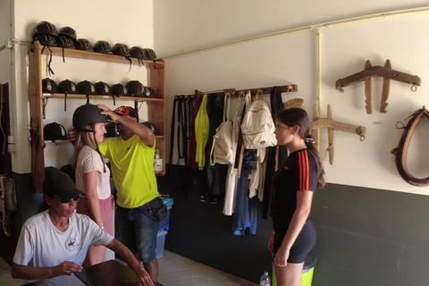 Isla de Porto Santo: Paseos a caballo180 min Aventura