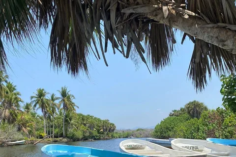 De Puerto Escondido: Viagem de 1 dia ao Parque Nacional Chacahua