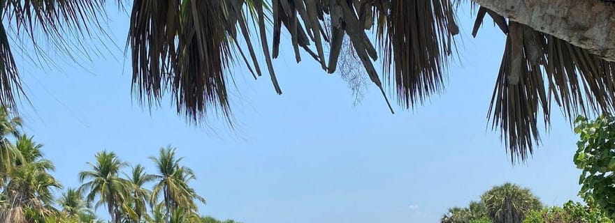 Depuis Puerto Escondido : Excursion d'une journée au parc national de Chacahua