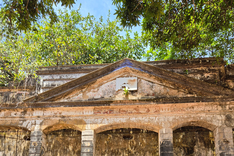Original Açaí Experience and Visit to the Ruins of Paricatuba in Amazonas