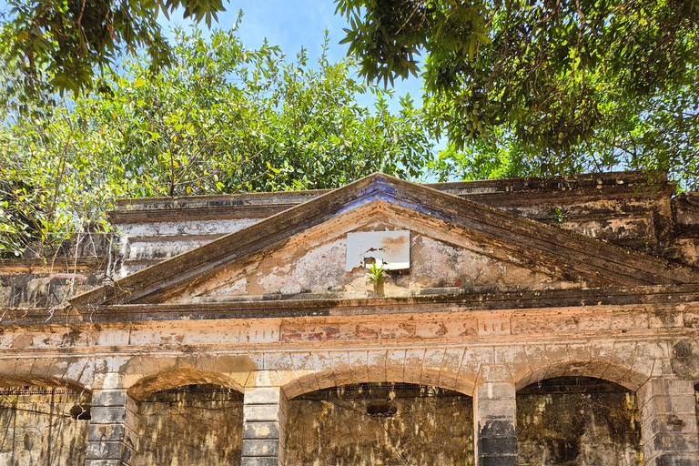 Original Açaí Experience and Visit to the Ruins of Paricatuba in Amazonas
