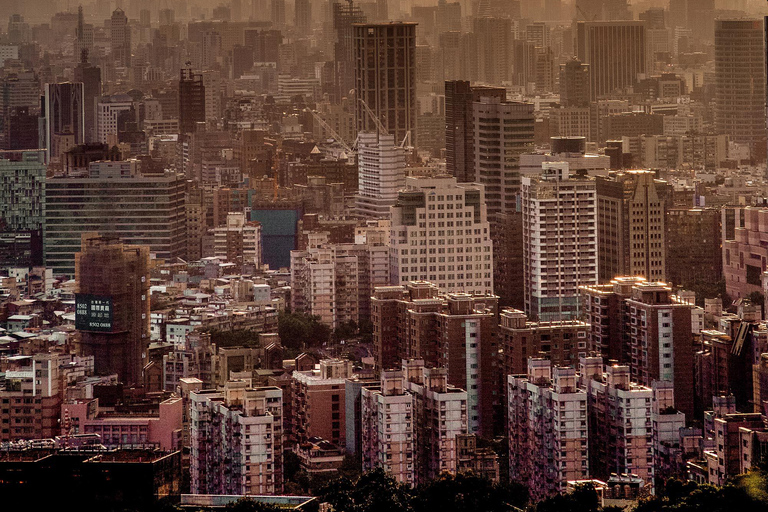 Taipei Nightfall: 4 hours Skyline View, Temple & Neon Market