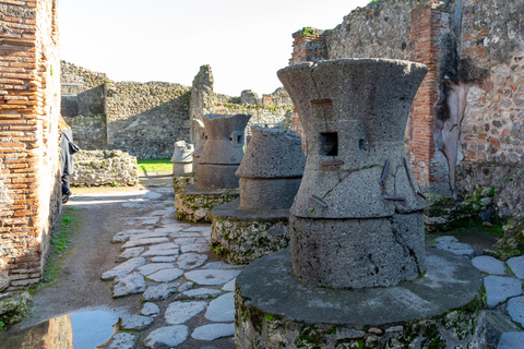 Naples: Pompeii Group Tour with Wine Tasting & Light Lunch Semi-Private Group up to 8 people