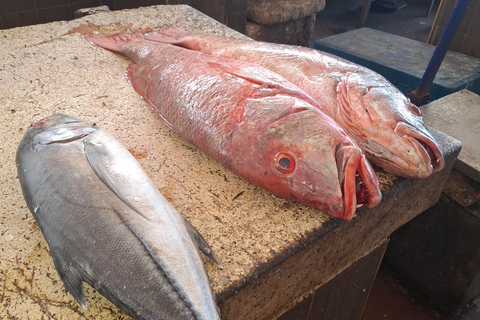 Mombasa: Mkupe Creek Sunset Boat Tour with Fishing