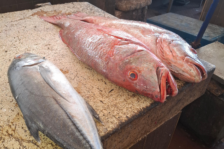 Mombasa: Mkupe Creek Sunset Boat Tour with Fishing