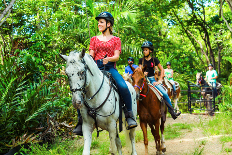 Carabalí Rainforest Park: Rainforest Horseback Riding Tour 2-Hour Horseback Ride