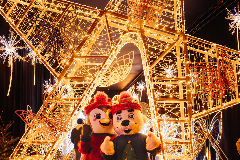 Amsterdam: Het Amsterdamse Winterparadijs Entry Ticket