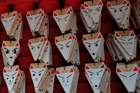 Kyoto & Nara: Guided Walking Tour with Deer Encounter