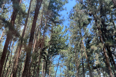 Colombo to Ambuluwawa Tower Private Day Trip 12 Hours