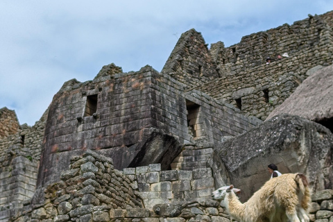From Urubamba & Ollantaytambo: Machupicchu Full-day| private