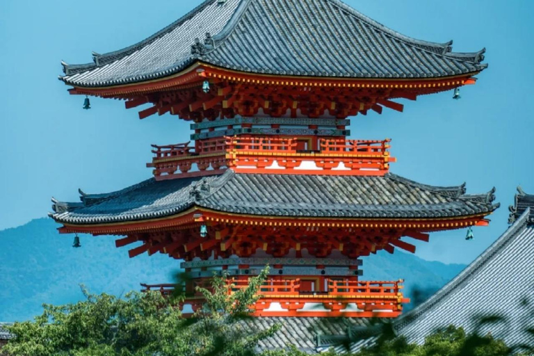 Maizuru: Shore Excursion for Cruise Guests（Private/Group） Litinerary A: Kyoto City Tour(small group)